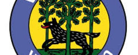 Teil 2: Die besten hessischen Leichtathletik-Initiativen im Corona-Jahr 2020